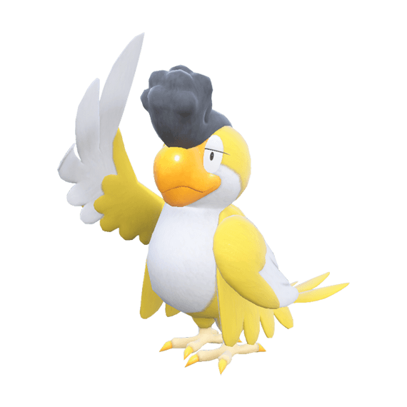 Squawkabilly