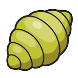 Chiaribeere