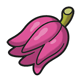 Zitarzbeere