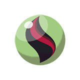 班基拉斯进化石