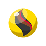 Raichuite X