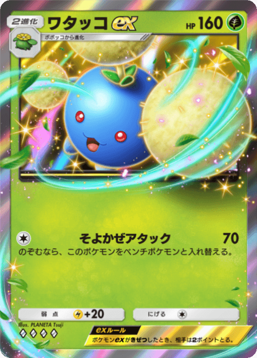 PLANETA Tsuji