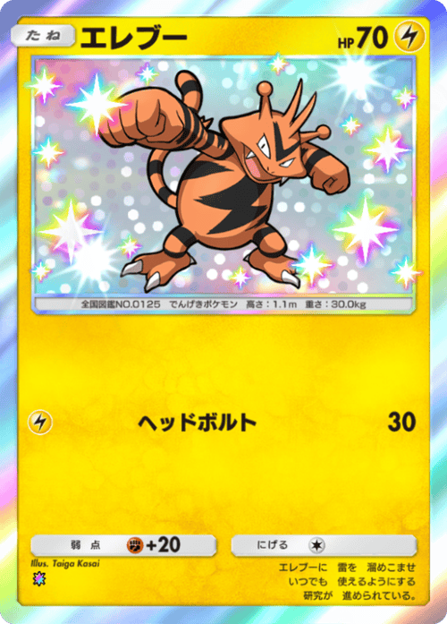 Taiga Kasai