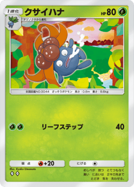 クサイハナ(空と海の導き)