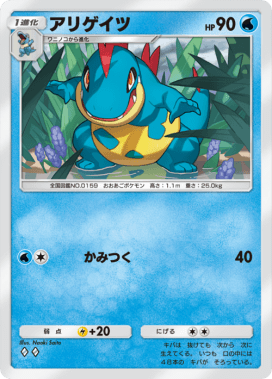 アリゲイツ(空と海の導き)
