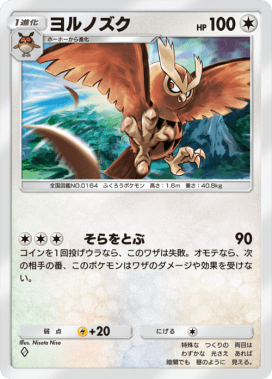 ヨルノズク(空と海の導き)
