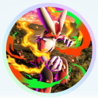 メガライジング　メガバシャーモ