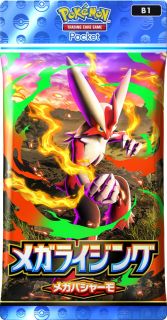 メガバシャーモ