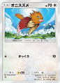 オニスズメ(空と海の導き)