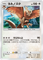 ヨルノズク(空と海の導き)