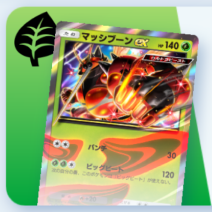 マッシブーンex&ジュナイパーexデッキ