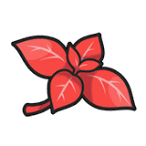 やんちゃミント