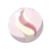 タブンネナイト