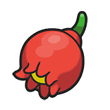 ザロクのみ