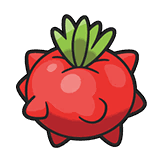マトマのみ