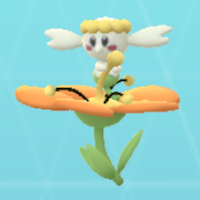 フラベベ(橙)