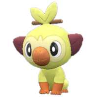 色違いサルノリ