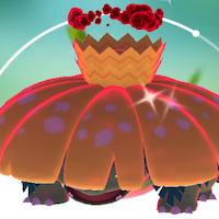 キョダイフシギバナ