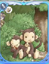 card_319