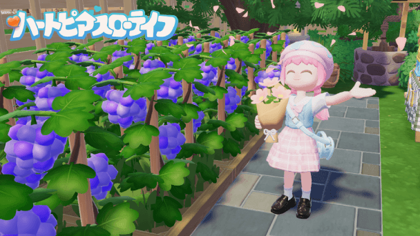 心安らぐ生活を楽しもう！