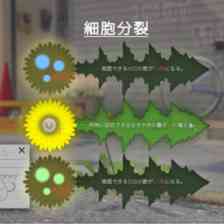 タンポポは耐える