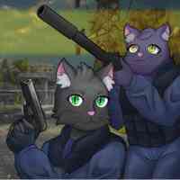 Cat's Wars