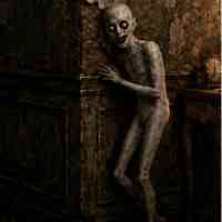 Hollow Hide