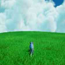 LIMINAL CAT