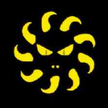 太陽のしっぽの画像