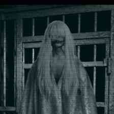 Nameless Lady