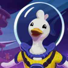 Duck Side of the Moon