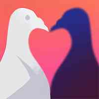 Pigeon: A Love Story