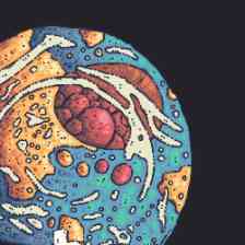 HEAVYDELIC