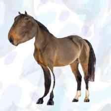 Horse Magnifier: The Full Horse