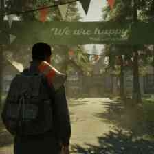 The Pines