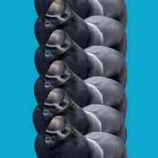 プルプルゴリラタワー