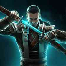 Shadow Fight Arena