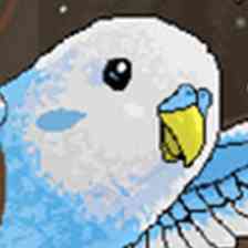 Birds of Ascent