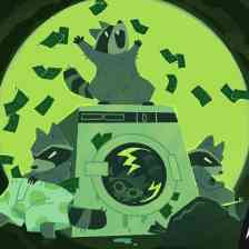 Money Laundering Raccoon