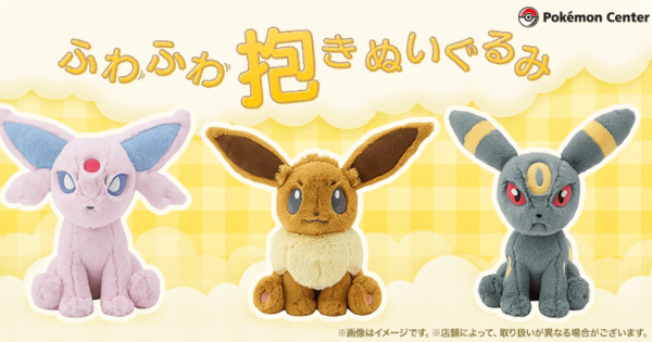 エーフィ ブラッキー マスコット Pokemon time ポケモンセンター