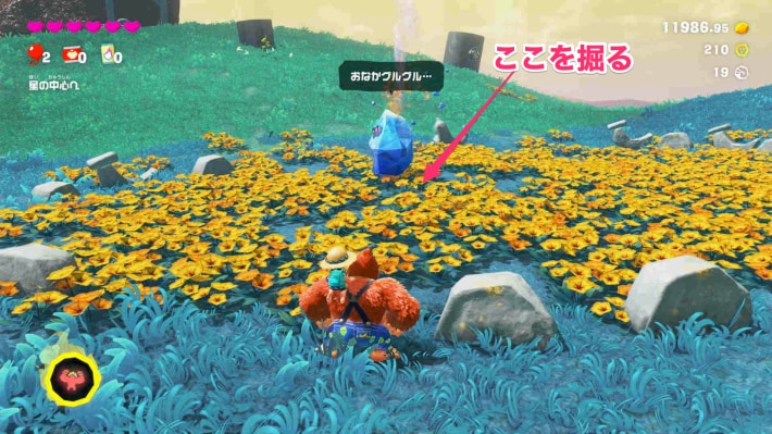 現地画像