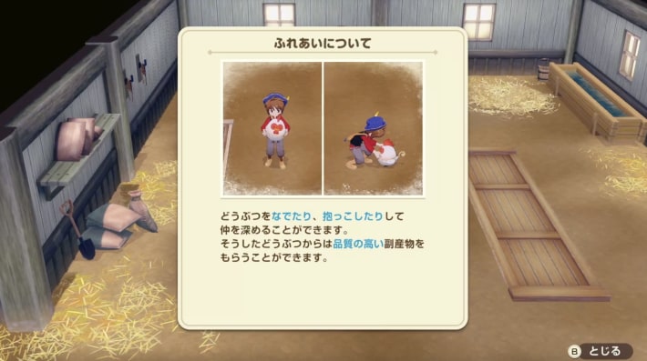 牧場物語 風のグランドバザールの農場のスキンシップ