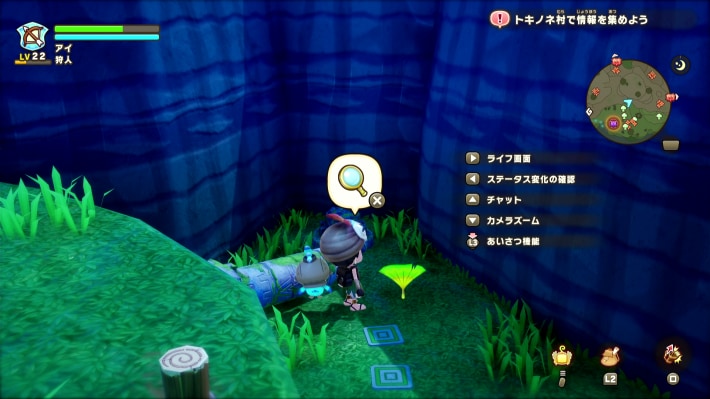 ノーズン山地③_リーフナー