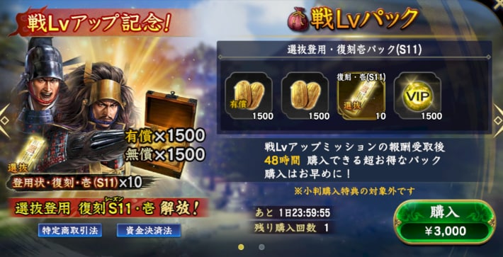 戦Lvパック