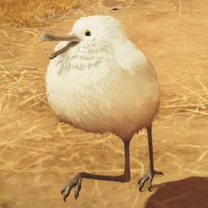 てくてくフワフワクイナ