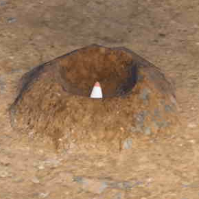 ポケモンZAのモグリュー