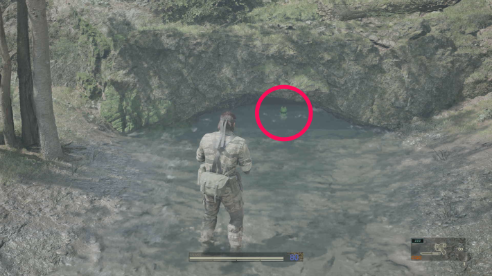 ソクロヴィエノ西部_ケロタン＿現地