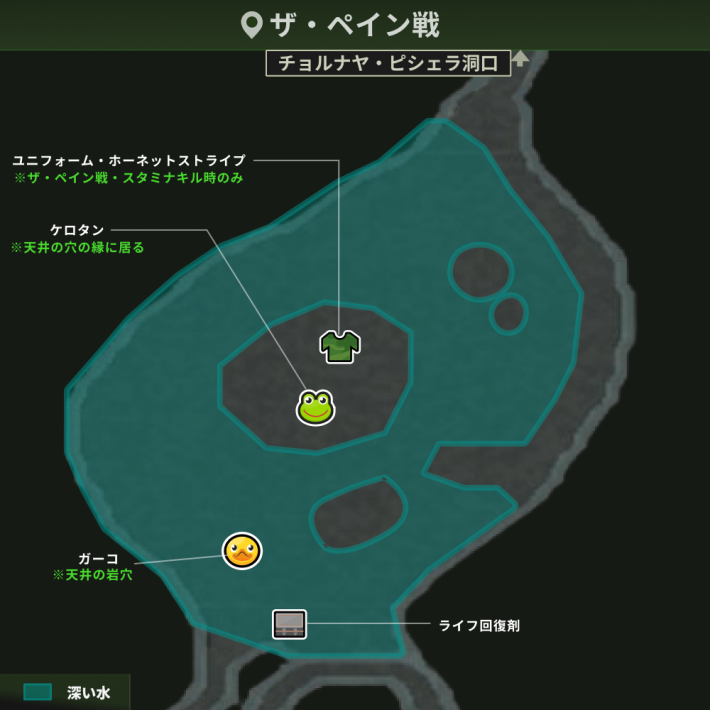 ザ・ペイン戦後_アイテム