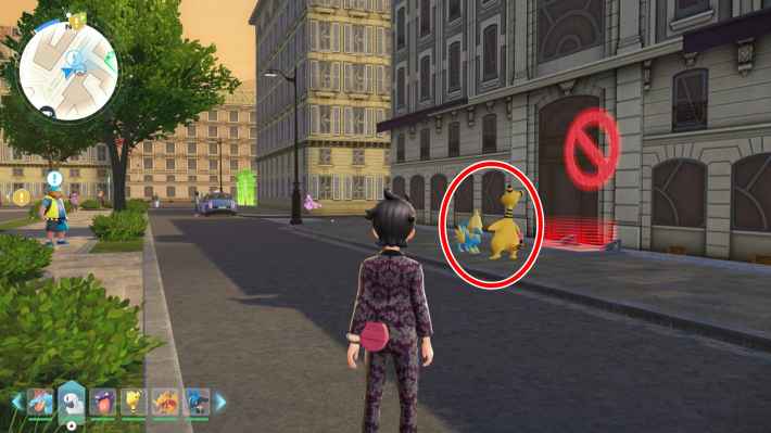 ポケモンZAのバチバチの縄張り争いの現地