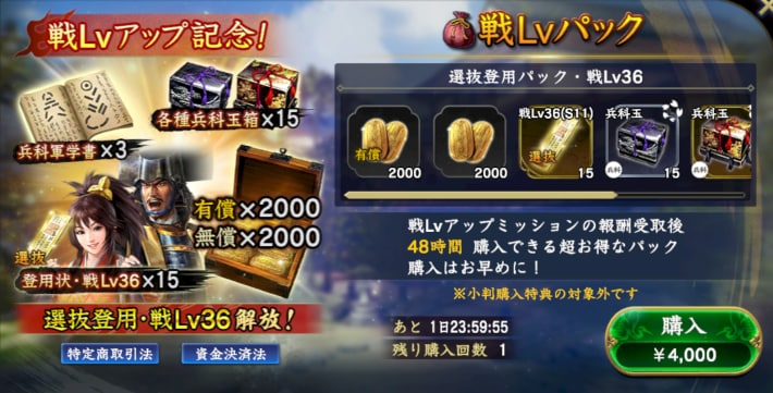 戦Lvパック